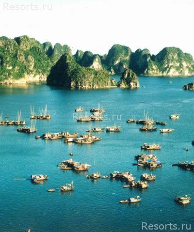 Halong Plaza 40